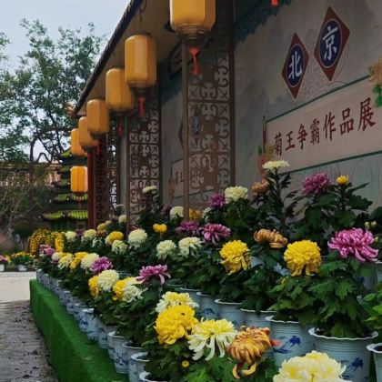 开封+清明上河园+万岁山武侠城3日2晚拼小团 开封+清明上河园+万岁山武侠城3日2晚拼小团