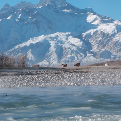 新疆乌鲁木齐+库尔勒+库车+喀什市+南疆+塔里木沙漠公路10日9晚私家团 新疆乌鲁木齐+库尔勒+库车+喀什市+南疆+塔里木沙漠公路10日9晚私家团