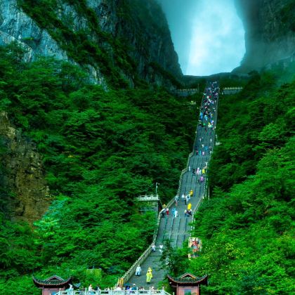 长沙+张家界+天门山+凤凰古城5日4晚跟团游 长沙+张家界+天门山+凤凰古城5日4晚跟团游