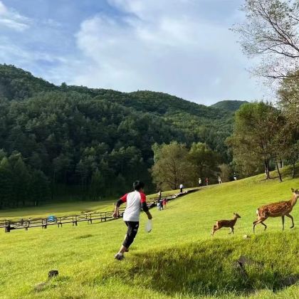 伊春5日4晚自由行 伊春5日4晚自由行