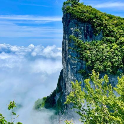 长沙+张家界+天门山+大峡谷+凤凰古城+岳阳+衡阳9日8晚私家团 长沙+张家界+天门山+大峡谷+凤凰古城+岳阳+衡阳9日8晚私家团