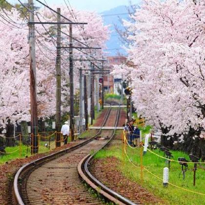 日本大阪府+京都6日私家团 日本大阪府+京都6日私家团