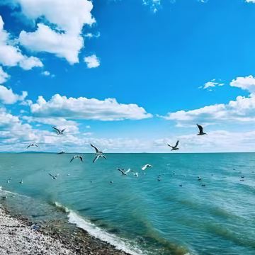 呼伦贝尔+额尔古纳+满洲里+阿尔山6日5晚私家团 呼伦贝尔+额尔古纳+满洲里+阿尔山6日5晚私家团