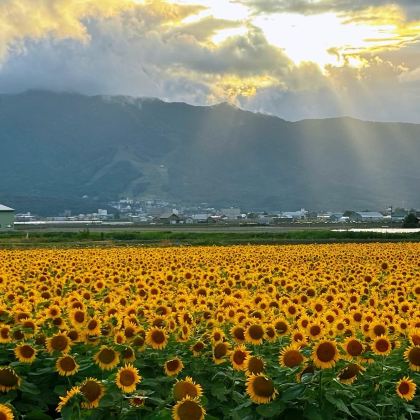 日本带广+钏路+网走+札幌6日5晚私家团 日本带广+钏路+网走+札幌6日5晚私家团