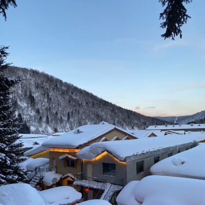 长春+哈尔滨+延吉+中国雪乡6日5晚跟团游 长春+哈尔滨+延吉+中国雪乡6日5晚跟团游