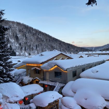 长春+哈尔滨+延吉+中国雪乡6日5晚跟团游 长春+哈尔滨+延吉+中国雪乡6日5晚跟团游