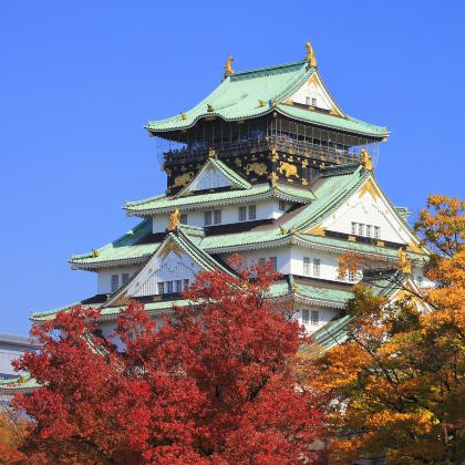 日本大阪+京都+富士山+名古屋+东京6日5晚跟团游 日本大阪+京都+富士山+名古屋+东京6日5晚跟团游