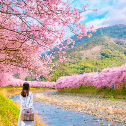 日本东京+富士山4日3晚拼小团 日本东京+富士山4日3晚拼小团