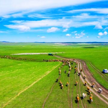 内蒙古呼伦贝尔+额尔古纳+满洲里6日5晚拼小团 内蒙古呼伦贝尔+额尔古纳+满洲里6日5晚拼小团