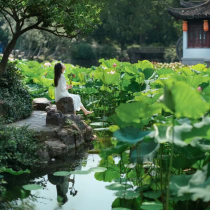 昆明+抚仙湖+建水+元阳+普者黑景区+弥勒6日5晚私家团 昆明+抚仙湖+建水+元阳+普者黑景区+弥勒6日5晚私家团