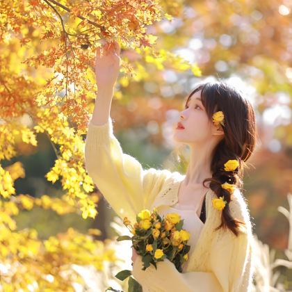 云南腾冲+瑞丽+芒市+昆明6日5晚拼小团 云南腾冲+瑞丽+芒市+昆明6日5晚拼小团