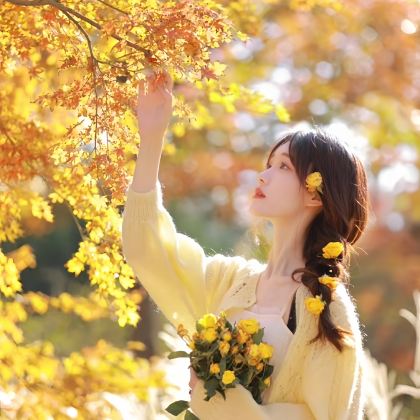 云南腾冲+瑞丽+芒市+昆明6日5晚拼小团 云南腾冲+瑞丽+芒市+昆明6日5晚拼小团