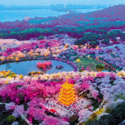 武汉+黄鹤楼+武汉两江游览(夜游长江)+仙岛湖风景区5日4晚私家团