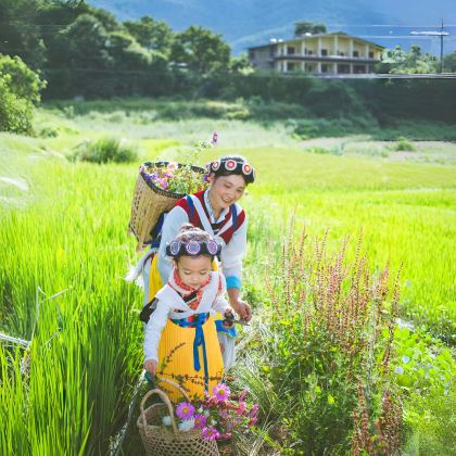 丽江+大理市+香格里拉+泸沽湖8日7晚私家团 丽江+大理市+香格里拉+泸沽湖8日7晚私家团