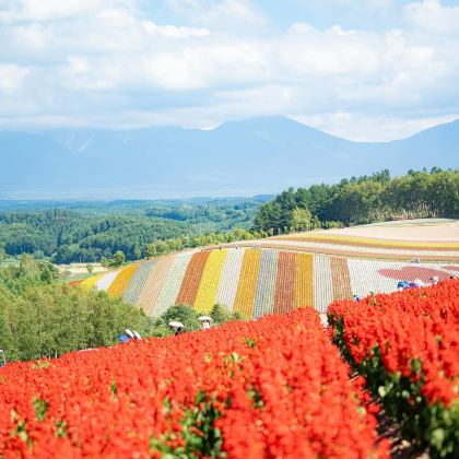 日本北海道登别+函馆+洞爷湖町+札幌7日6晚私家团 日本北海道登别+函馆+洞爷湖町+札幌7日6晚私家团