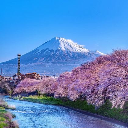 关东地区+关西地区+北海道+富士山+日本环球影城+东京迪士尼乐园14日13晚自由行 关东地区+关西地区+北海道+富士山+日本环球影城+东京迪士尼乐园14日13晚自由行