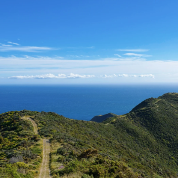 澳大利亚霍巴特+朗塞斯顿7日6晚私家团 澳大利亚霍巴特+朗塞斯顿7日6晚私家团