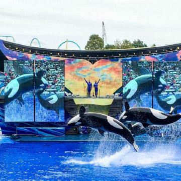 美国奥兰多佛罗里达环球影城6日5晚私家团 美国奥兰多佛罗里达环球影城6日5晚私家团