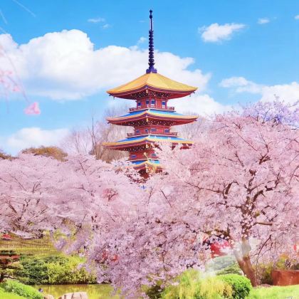 武汉+黄鹤楼+两坝一峡4日3晚跟团游 武汉+黄鹤楼+两坝一峡4日3晚跟团游