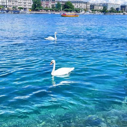 法国+瑞士+意大利15日14晚自由行 法国+瑞士+意大利15日14晚自由行