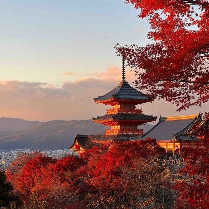 日本大阪+京都+奈良市+东京+富士山7日6晚跟团游 日本大阪+京都+奈良市+东京+富士山7日6晚跟团游