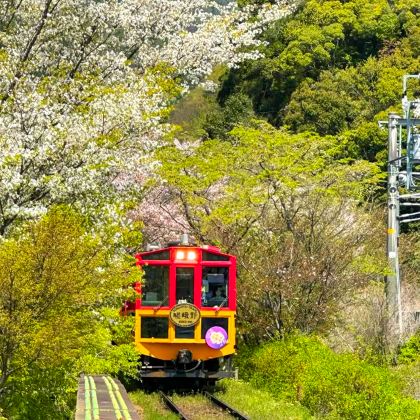 日本大阪+京都7日6晚私家团 日本大阪+京都7日6晚私家团