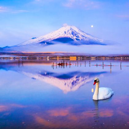 日本东京+箱根6日5晚私家团 日本东京+箱根6日5晚私家团