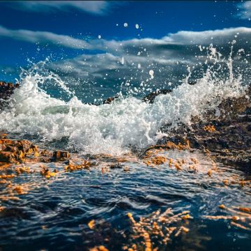 澳大利亚墨尔本+悉尼+Mill Bay Boardwalk+杰维斯湾+凯阿马喷水孔+蓝色海洋路+卧龙岗市+杰维斯湾观鲸游船+Raymond Island4日3晚私家团 澳大利亚墨尔本+悉尼+Mill Bay Boardwalk+杰维斯湾+凯阿马喷水孔+蓝色海洋路+卧龙岗市+杰维斯湾观鲸游船+Raymond Island4日3晚私家团