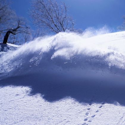 日本北海道6日5晚私家团 日本北海道6日5晚私家团