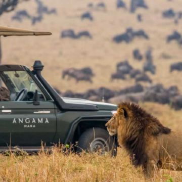 肯尼亚马赛马拉国家公园+安博塞利国家公园8日6晚私家团 肯尼亚马赛马拉国家公园+安博塞利国家公园8日6晚私家团
