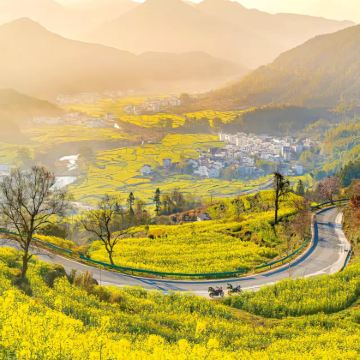 江西望仙谷+婺源篁岭景区+景德镇+三清山风景区5日4晚私家团 江西望仙谷+婺源篁岭景区+景德镇+三清山风景区5日4晚私家团