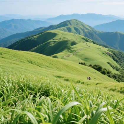贵州六盘水+乌蒙大草原+野玉海山地旅游度假区4日3晚私家团 贵州六盘水+乌蒙大草原+野玉海山地旅游度假区4日3晚私家团