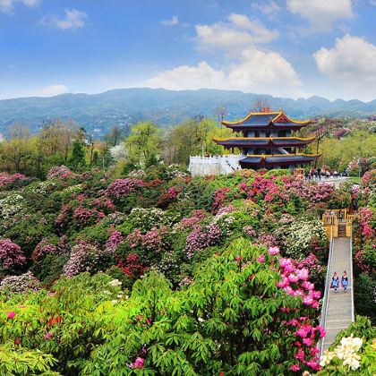 贵州黄果树+百里杜鹃风景区+万峰林景区+马岭河峡谷5日4晚私家团