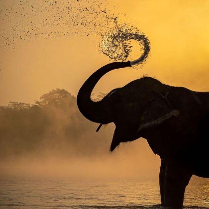 尼泊尔加德满都+奇特旺国家公园3日2晚跟团游 尼泊尔加德满都+奇特旺国家公园3日2晚跟团游