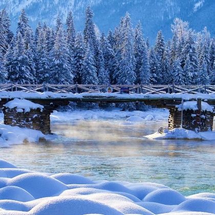 新疆乌鲁木齐+北疆+喀纳斯景区9日8晚拼小团 新疆乌鲁木齐+北疆+喀纳斯景区9日8晚拼小团