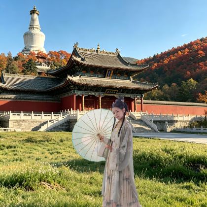 五台山+忻州2日1晚拼小团 五台山+忻州2日1晚拼小团