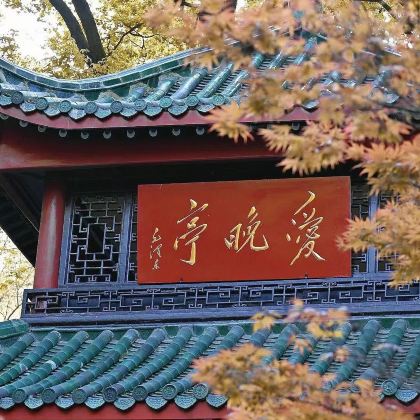 长沙湖南博物院+岳阳楼+韶山旅游区+岳麓书院+橘子洲5日4晚跟团游 长沙湖南博物院+岳阳楼+韶山旅游区+岳麓书院+橘子洲5日4晚跟团游