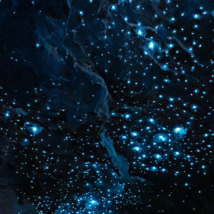 新西兰北岛+塔拉纳基山+爱歌顿农场+新普利茅茨+罗托鲁阿湖+罗托鲁瓦Skyline天空缆车6日5晚跟团游 新西兰北岛+塔拉纳基山+爱歌顿农场+新普利茅茨+罗托鲁阿湖+罗托鲁瓦Skyline天空缆车6日5晚跟团游