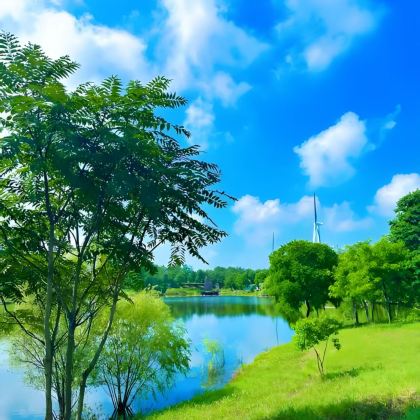 东海青松岭森林公园+中国东海水晶城3日2晚自由行 东海青松岭森林公园+中国东海水晶城3日2晚自由行