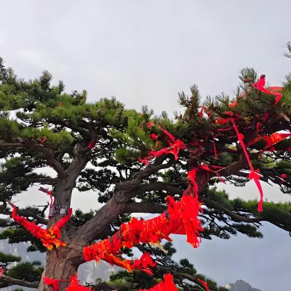 西安+兵马俑+华山+华清宫4日3晚跟团游 西安+兵马俑+华山+华清宫4日3晚跟团游