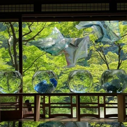 日本东京5日4晚自由行 日本东京5日4晚自由行