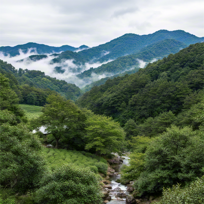 日本京都+大阪+琵琶湖7日6晚私家团 日本京都+大阪+琵琶湖7日6晚私家团