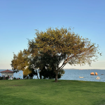 泉州+福州+湄洲岛8日7晚自由行 泉州+福州+湄洲岛8日7晚自由行