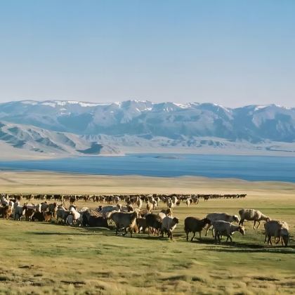 新疆北疆+赛里木湖+那拉提旅游风景区+喀拉峻景区7日6晚自由行