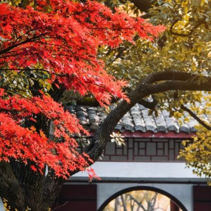 长沙橘子洲+衡山+韶山旅游区+岳阳楼6日5晚跟团游 长沙橘子洲+衡山+韶山旅游区+岳阳楼6日5晚跟团游