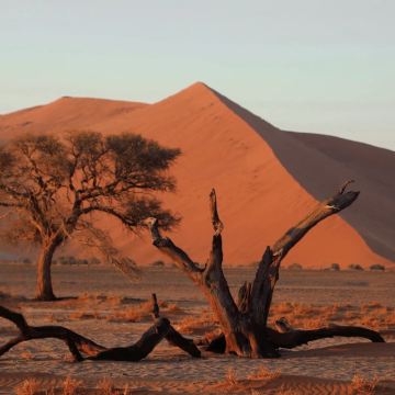 纳米比亚温得和克+基特曼斯胡普+纳米布沙漠+斯瓦科普蒙德+鲸湾港+Spitzkoppe+埃托沙国家公园9日8晚私家团 纳米比亚温得和克+基特曼斯胡普+纳米布沙漠+斯瓦科普蒙德+鲸湾港+Spitzkoppe+埃托沙国家公园9日8晚私家团