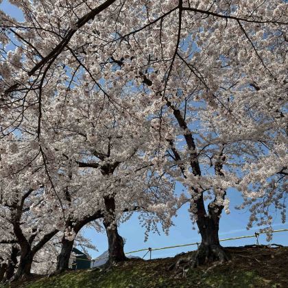青森县6日5晚私家团 青森县6日5晚私家团
