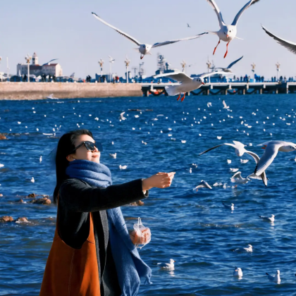 青岛4日3晚拼小团 青岛4日3晚拼小团