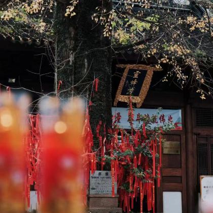 安吉3日2晚私家团 安吉3日2晚私家团