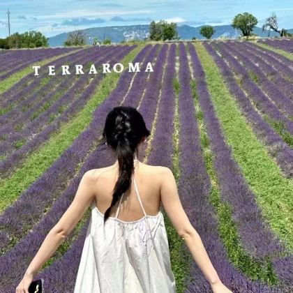 法国+瑞士12日跟团游 法国+瑞士12日跟团游